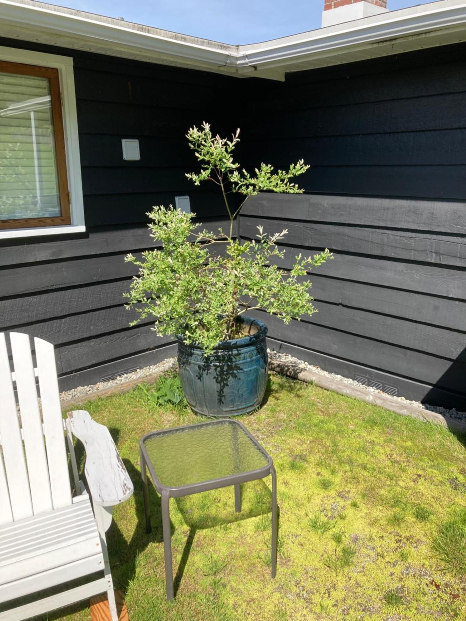Rent My Studio Powell River Exteriör bild